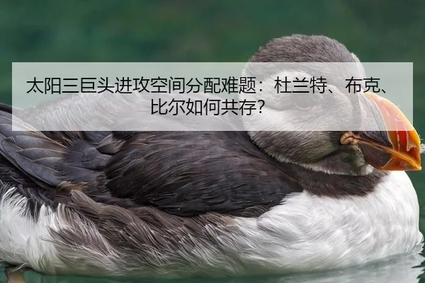 tai-yang-san-ju-tou-jin-gong-kong-jian-fen-pei-nan-ti-du-lan-te-bu-ke-bi-er-ru-he-gong-cun-3-472.jpg