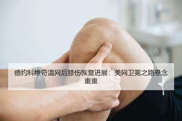 de-yue-ke-wei-qi-wen-wang-hou-xi-shang-hui-fu-jin-zhan-mei-wang-wei-mian-zhi-lu-xuan-nian-chong-chong-2-498.jpg