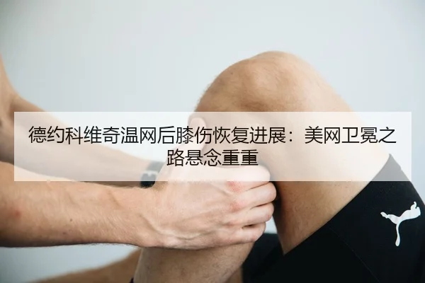 de-yue-ke-wei-qi-wen-wang-hou-xi-shang-hui-fu-jin-zhan-mei-wang-wei-mian-zhi-lu-xuan-nian-chong-chong-3-531.jpg