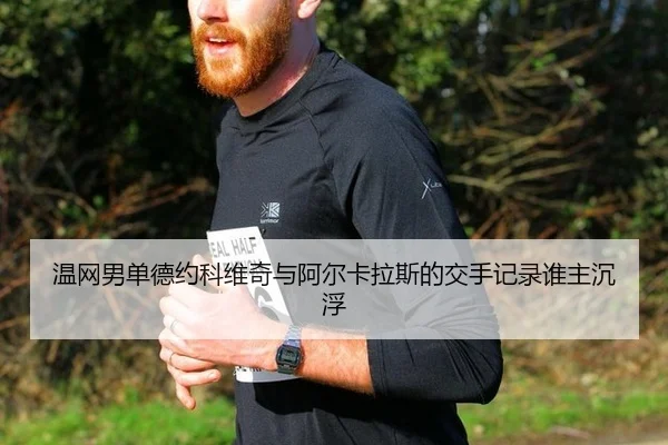 wen-wang-nan-dan-de-yue-ke-wei-qi-yu-a-er-ka-la-si-de-jiao-shou-ji-lu-shui-zhu-chen-fu-2-482.jpg